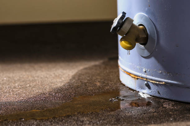 Best Basement water damage restoration  in Lake Ozark, MO