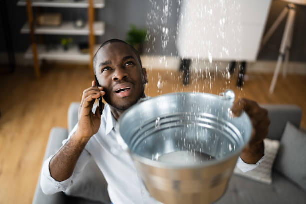 Best Sewage cleanup and water damage restoration  in Lake Ozark, MO