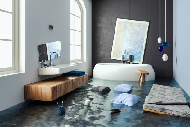 Best Water damage repair service  in Lake Ozark, MO
