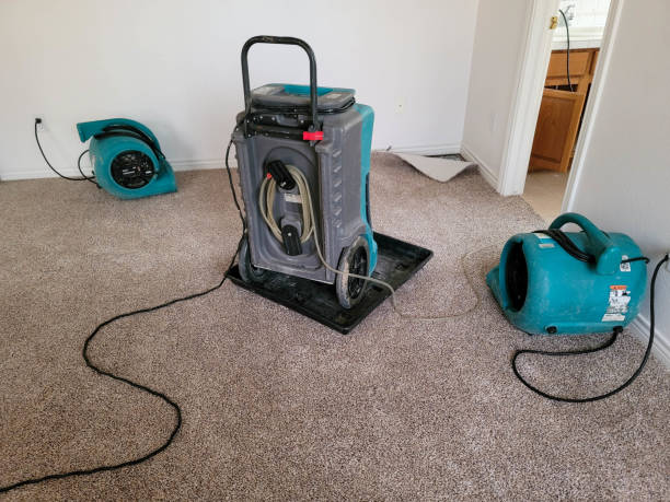 Best Basement water damage restoration  in Lake Ozark, MO