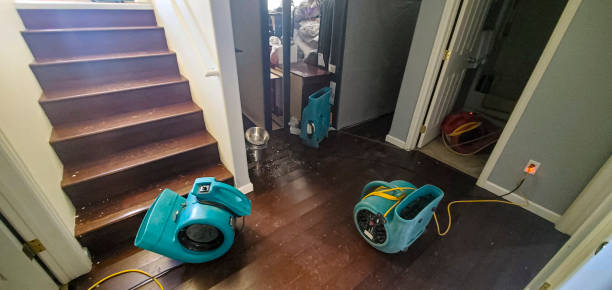Best Water damage restoration process  in Lake Ozark, MO