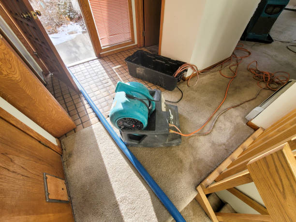 Best Sewage cleanup and water damage restoration  in Lake Ozark, MO