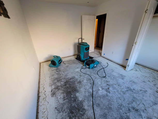 Best Water damage restoration experts  in Lake Ozark, MO