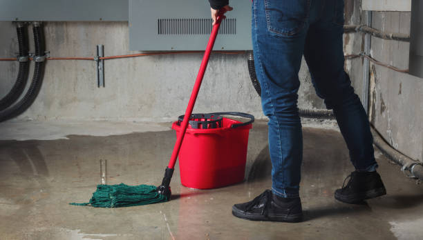 Carpet water damage restoration in Lake Ozark, MO