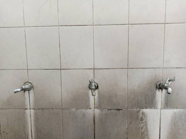 Best 24-hour water damage restoration  in Lake Ozark, MO