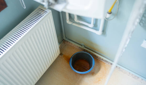 Best Water damage cleanup near me  in Lake Ozark, MO