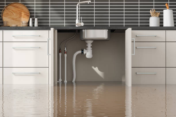 Best Water damage restoration insurance claims  in Lake Ozark, MO