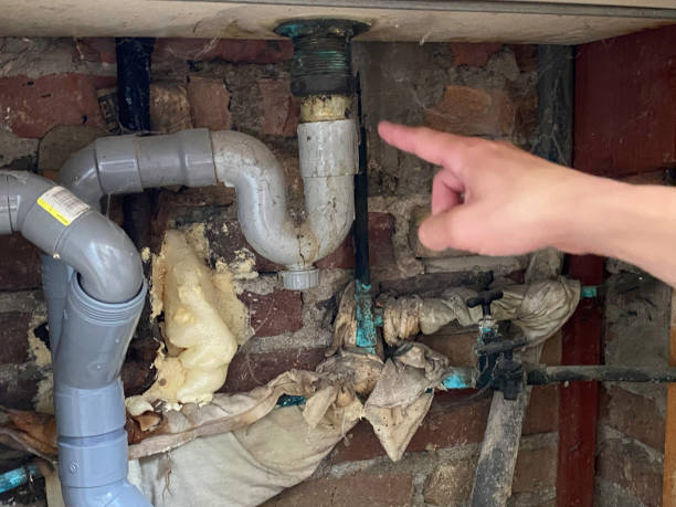 Best Carpet water damage restoration  in Lake Ozark, MO