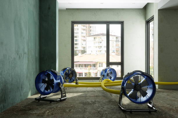 Best Sewage cleanup and water damage restoration  in Lake Ozark, MO