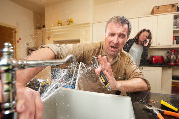 Best Basement water damage restoration  in Lake Ozark, MO